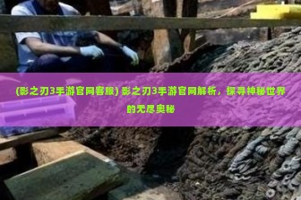 (影之刃3手游官网客服) 影之刃3手游官网解析，探寻神秘世界的无尽奥秘