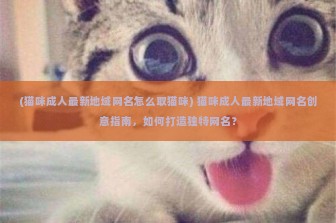 (猫咪成人最新地域网名怎么取猫咪) 猫咪成人最新地域网名创意指南，如何打造独特网名？