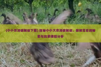 (小小农场破解版下载) 探秘小小大农场破解版，破解背后的秘密与玩家体验分析